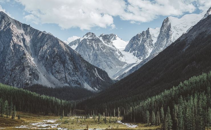 找移民，咨询移民，不用中介公司，教您免费移民